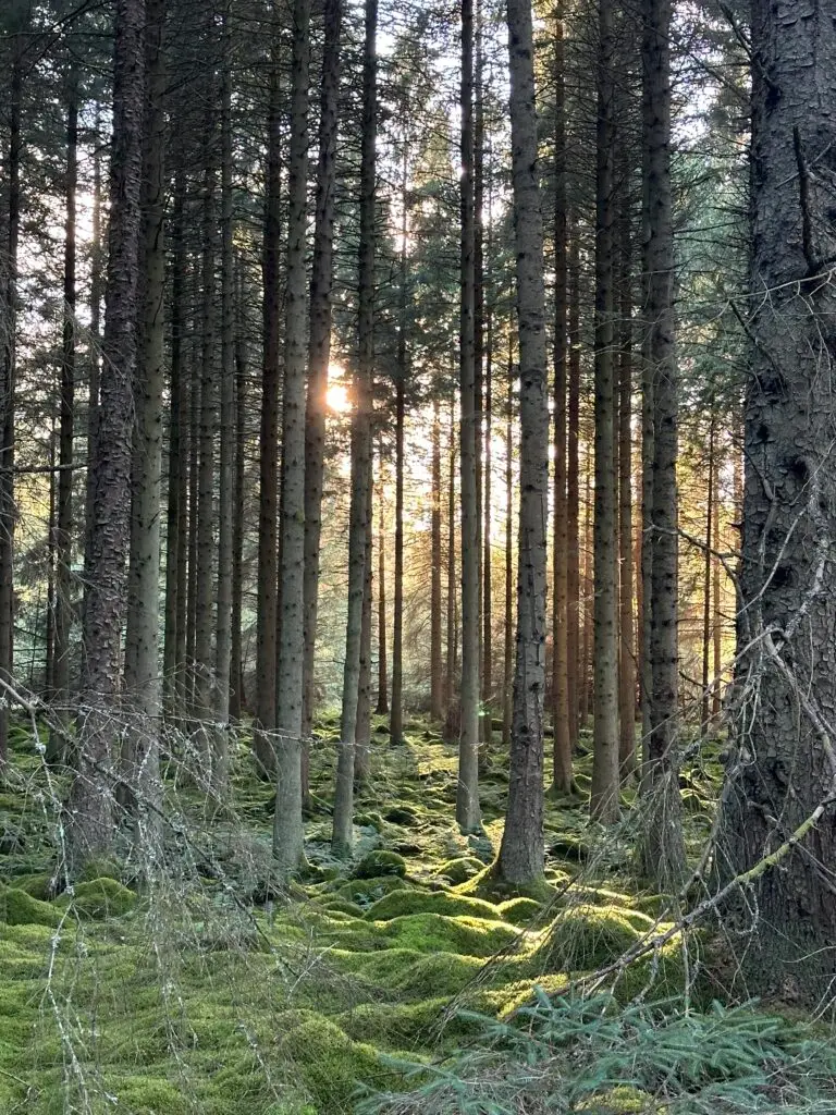 Starting our van life