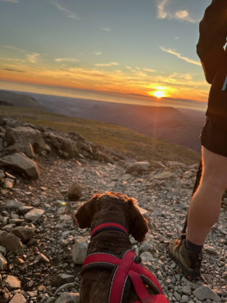 Coco and me looking at the setting sun